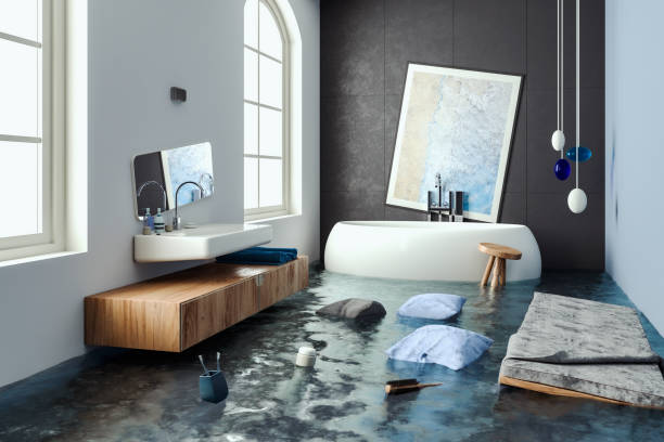Best Water damage restoration services  in Shawnee, KS