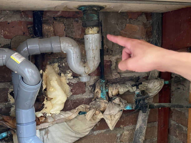 Best Professional water damage repair  in Shawnee, KS