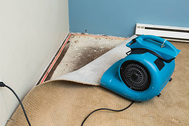 Best Water damage restoration near me  in Shawnee, KS